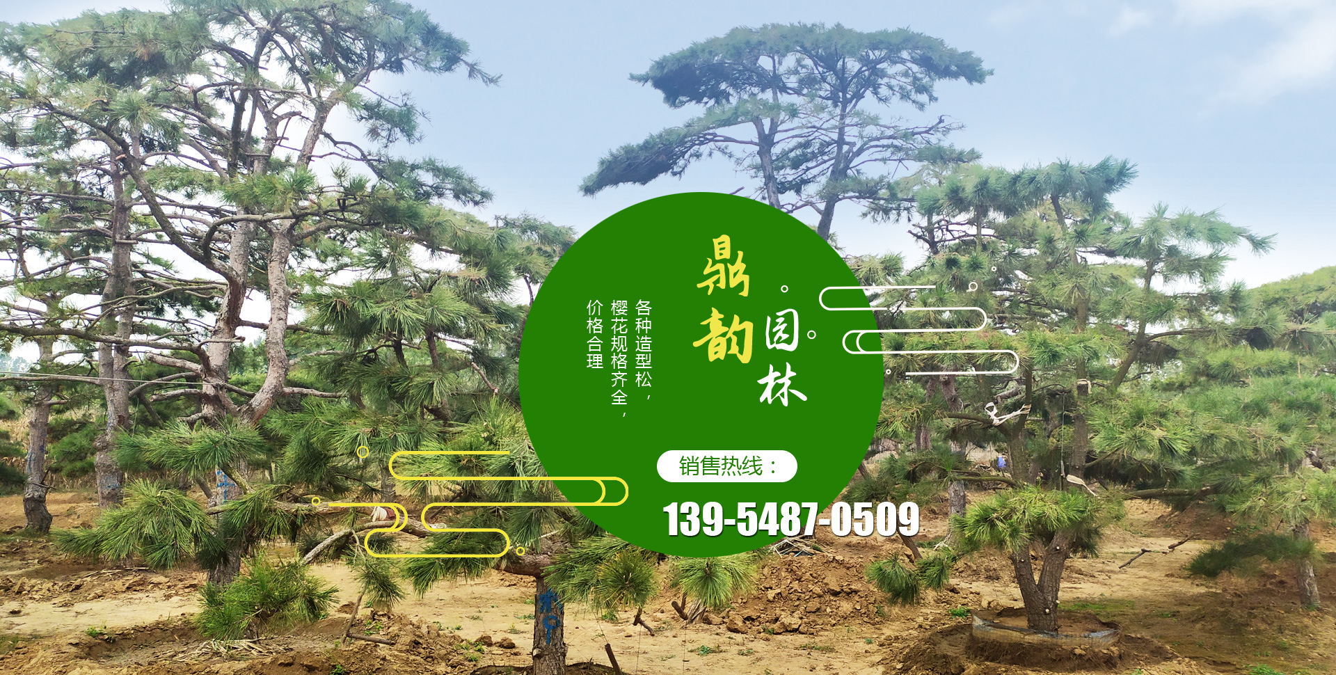 濟寧市同創(chuàng)工礦設(shè)備有限公司 